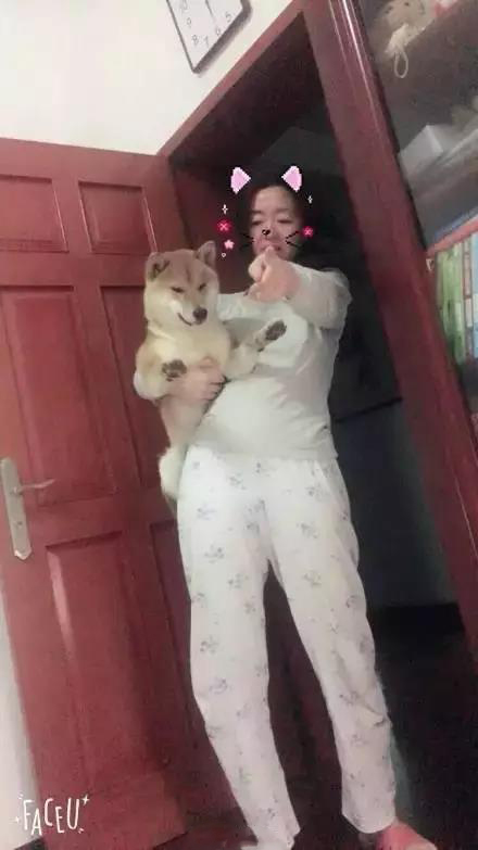 軟板廠之爸媽，我真的是你們親生的嗎？