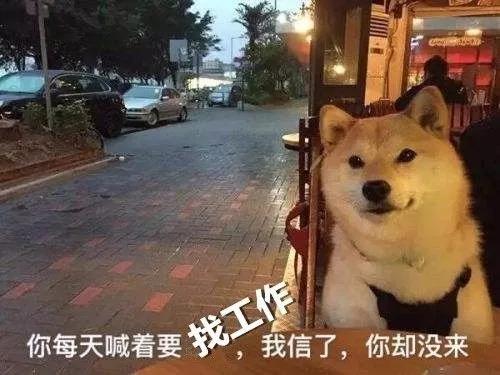 招聘 | 這是一道送錢(qián)題，有膽你就來(lái)！